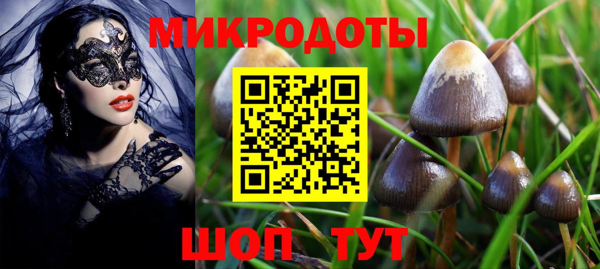 Галлюциногенные грибы Psilocybine cubensis  Вход с VPN  где продают наркотики  Губаха 